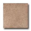 Esquire Tile Esquire Tile Urbino 6 X 6 Noce Tile  &  Stone