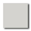 American Olean American Olean Satinbrites Mosaic Lite Sterling Tile  &  Stone