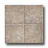 Armstrong Armstrong Canyon Creek - Carrizo 6 Smoke Vinyl Flooring