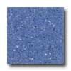 Santa Regina Santa Regina Designer 24 X 24 (natural) Azul Terrazzo Tile
