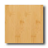 Teragren Teragren Studio Horizontal Natural Bamboo Flooring