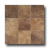 Tesoro Tesoro Kulture 6 X 6 Red Oak Tile  &  Stone