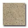 Daltile Daltile Granati Unpolished 12 X 12 Giallo Veneziano Tile  &  Stone