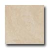 Leonardo Ceramica Leonardo Ceramica Rapolano 12 X 12 Crema Tile  &  Stone