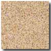 Armstrong Armstrong Safeguard Design Slip-retardant Gold Vinyl Flooring