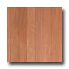 Somerset Somerset Color Collections Strip 2 Solid Seashell Hardwood Floor