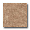 Nafco Nafco Permastone Biscayne Tanned Leather Vinyl Flooring