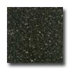 Fritztile Fritztile Green Tile Grn800 1 / 8 Staley Black Tile  &  Stone