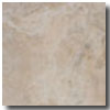 Tesoro Tesoro Florence 12 X 12 Antico Tile  &  Stone