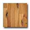Harris-Tarkett Harris-tarkett Foundations Hickory Golden Hardwood Flooring