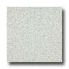 Armstrong Armstrong Medintech Homogeneous Jasmine Vinyl Flooring