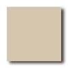 American Olean American Olean Unglazed Ceramic Mosaics 1 X 1 Sand Tile  &  Stone