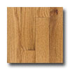 Mohawk Mohawk Plymouth Oak Butterscotch Hardwood Flooring