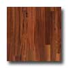 Pergo Pergo Select Plank Dark Mahogany Laminate Flooring