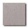American Olean American Olean Terra Granite 8 X 8 Speckled Taupe Tile  &  Stone