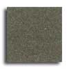 Daltile Daltile Granati Unpolished 12 X 12 Nero Impala Tile  &  Stone