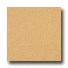 Armstrong Armstrong Medintech Tandem Inlaid Ginger Vinyl Flooring