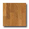 Harris-Tarkett Harris-tarkett Essentials Oak Butterscotch Hardwood Flooring