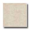 Portobello Portobello Galleria 18 X 18 Natural Rectified Puccini Bege Tile