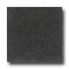 Santa Regina Santa Regina Designer 16 X 16 (polished) Onyx Terrazzo Tile