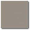 Daltile Daltile Suretread  &  Pavers 6 X 6 Gray Paver Tile  &  Stone
