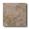 Tesoro Tesoro Marmol Anticato 18 X 18 Walnut Tile  &  Stone