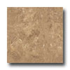 Ergon Tile Ergon Tile Alabastro Evo 16 X 16 Polished Noce Tile  &  Stone