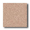 Crossville Crossville Cross-colors A 12 X 12 Polished Brown Tweed Tile  &  St