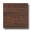 Earth Werks Earth Werks Montana Plank Gmp9931 Vinyl Flooring