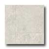Armstrong Armstrong Natural Fusion - Torino Trail Beachside Vinyl Flooring