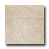 Tarkett Tarkett Preference Plus Nt - Riverview 6 Crestview Vinyl Floorin