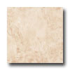 Nafco Nafco Elements 9 X 9 Doe Vinyl Flooring
