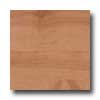 Earth Werks Earth Werks Wood Antique Plank Nwt9402cdbe Vinyl Flooring