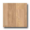 Tarkett Tarkett Fiber Floors Fresh Start - Adirondack Medium Vinyl Floor
