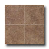 Esquire Tile Esquire Tile Sequoyah 12 X 12 Leatherwood Tile  &  Stone