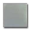 Tilecrest Tilecrest Bellisima 3 X 6 Sea Tide Tile  &  Stone