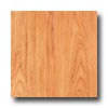 BHK Bhk Moderna Visions - 4 Edge Micro Beveled Plank Atlantic Bevele