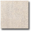 Marazzi Marazzi Fossili Matt Natural 12 X 12 Rectified Paleonisco Tile  &