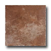 Emser Tile Emser Tile Antica Venezia 18 X 18 Terracotta Tile  &  Stone