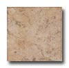 Leonardo Ceramica Leonardo Ceramica Fiorito 6 X 6 Noce Tile  &  Stone