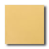 Daltile Daltile Designer Colours 12 X 12 Mustard Tile  &  Stone