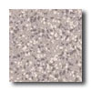 Crossville Crossville Cross-colors Lp 6 X 6 Polished Granite Gray Tile  &  St