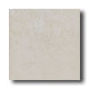 New World New World X Series 18 X 18 White Tile  &  Stone