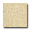 Armstrong Armstrong Medintech Homogeneous Oatmeal Vinyl Flooring