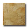 Tesoro Tesoro Elegance 13 X 13 Noce Tile  &  Stone