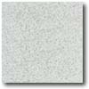 Daltile Daltile Vitrestone Select 12 X 12 White Granite Tile  &  Stone