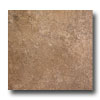 Laufen Laufen Vail 13 X 13 Pine Tile  &  Stone