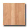 Alloc Alloc Original Northern Maple Laminate Flooring