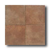 Daltile Daltile Del Lavoro 6 X 6 Rosso Tile  &  Stone