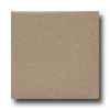 Daltile Daltile Semi-gloss 4 1 / 4 X 4 1 / 4 Elemental Tan Tile  &  Stone